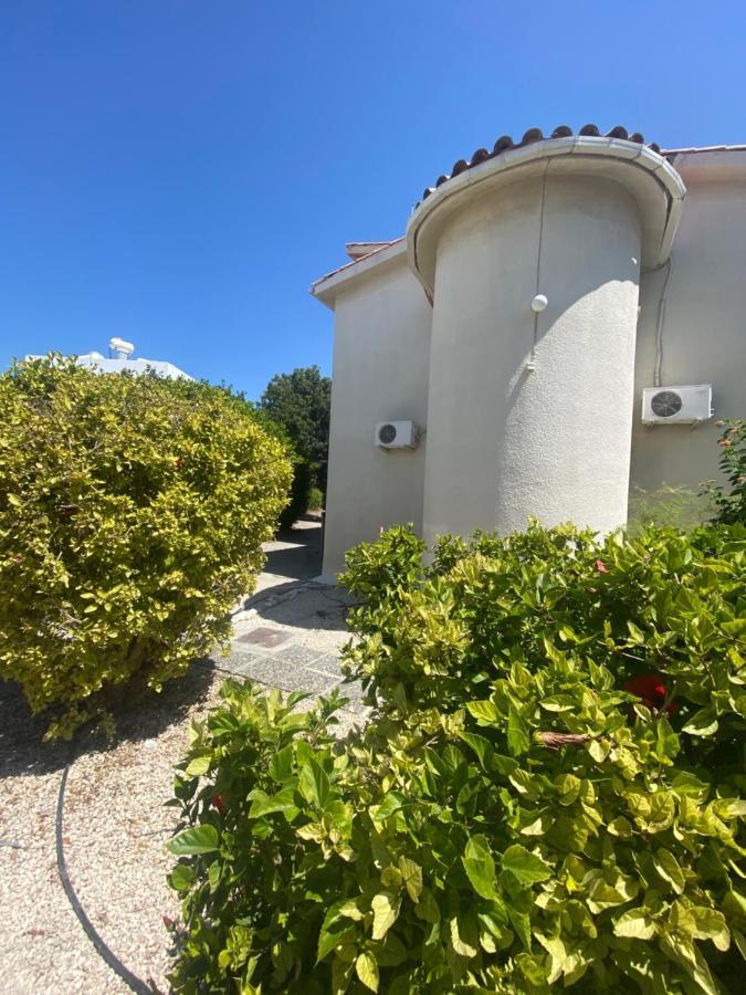 Seaside Maisonette 200M From Sea Pafos Dış mekan fotoğraf